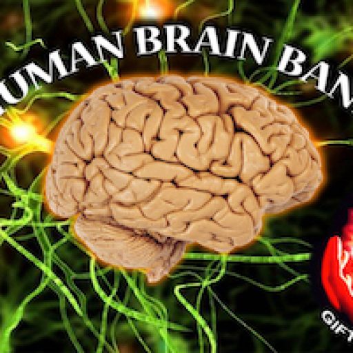 The NIMHANS Brain Bank